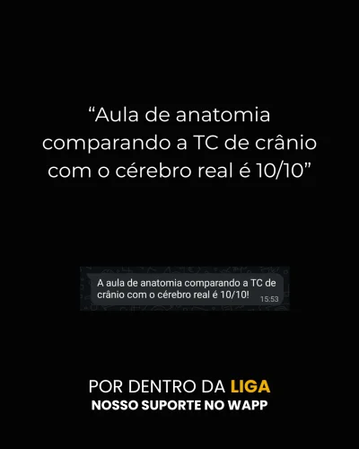 depoimento-LIGA-Samir-adaptado-rgvvjx413a84j0th9jf07kjxj2aqkij5e16nzud5l4